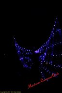 20240127_sitzung2_3073